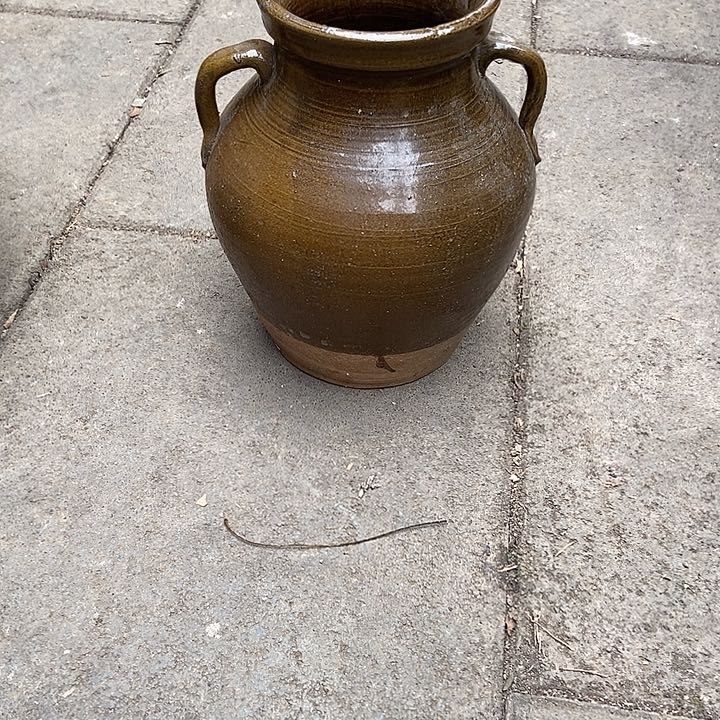 无花朵鲜花和小红花一起