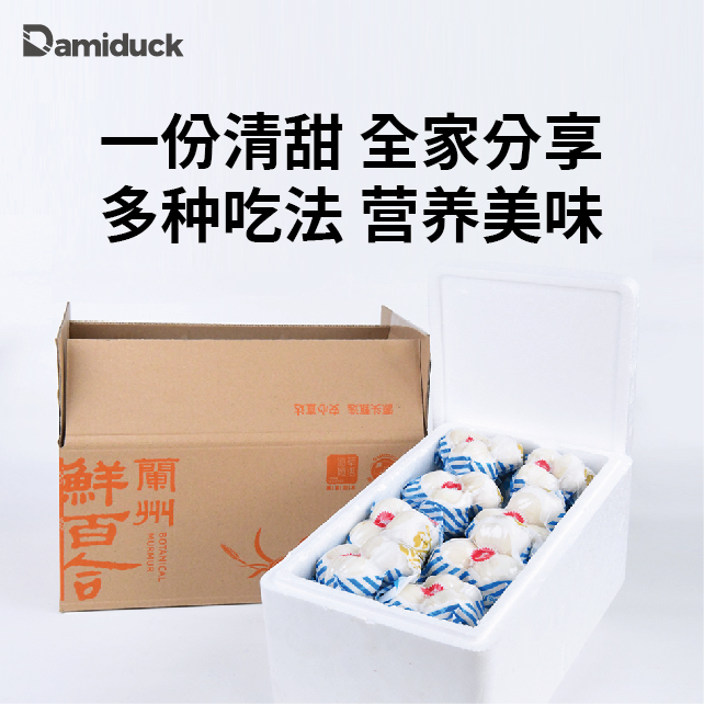 兰州高原现挖新鲜九年甜百合养生佳品顺丰包邮