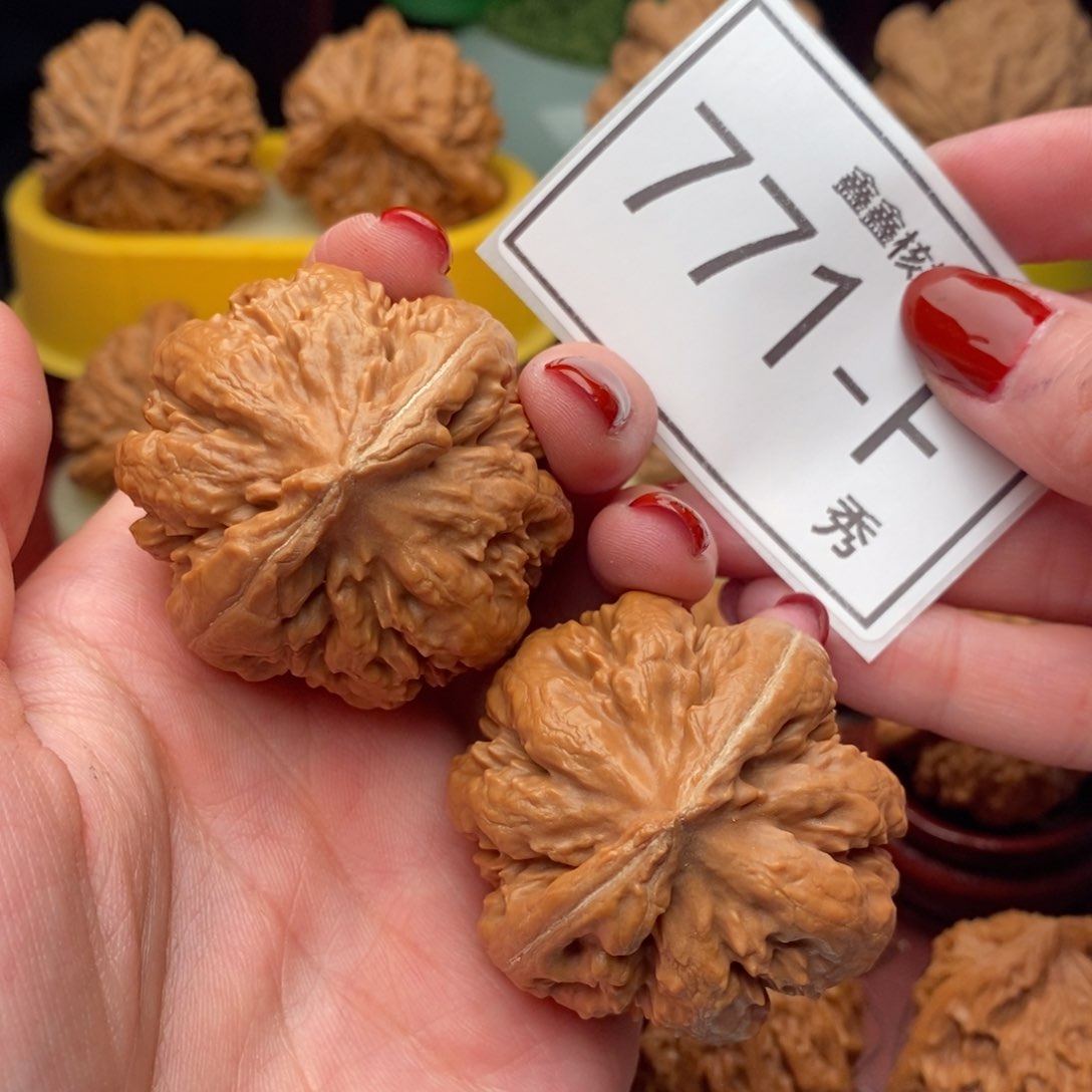 文玩核桃把件霸王龙42