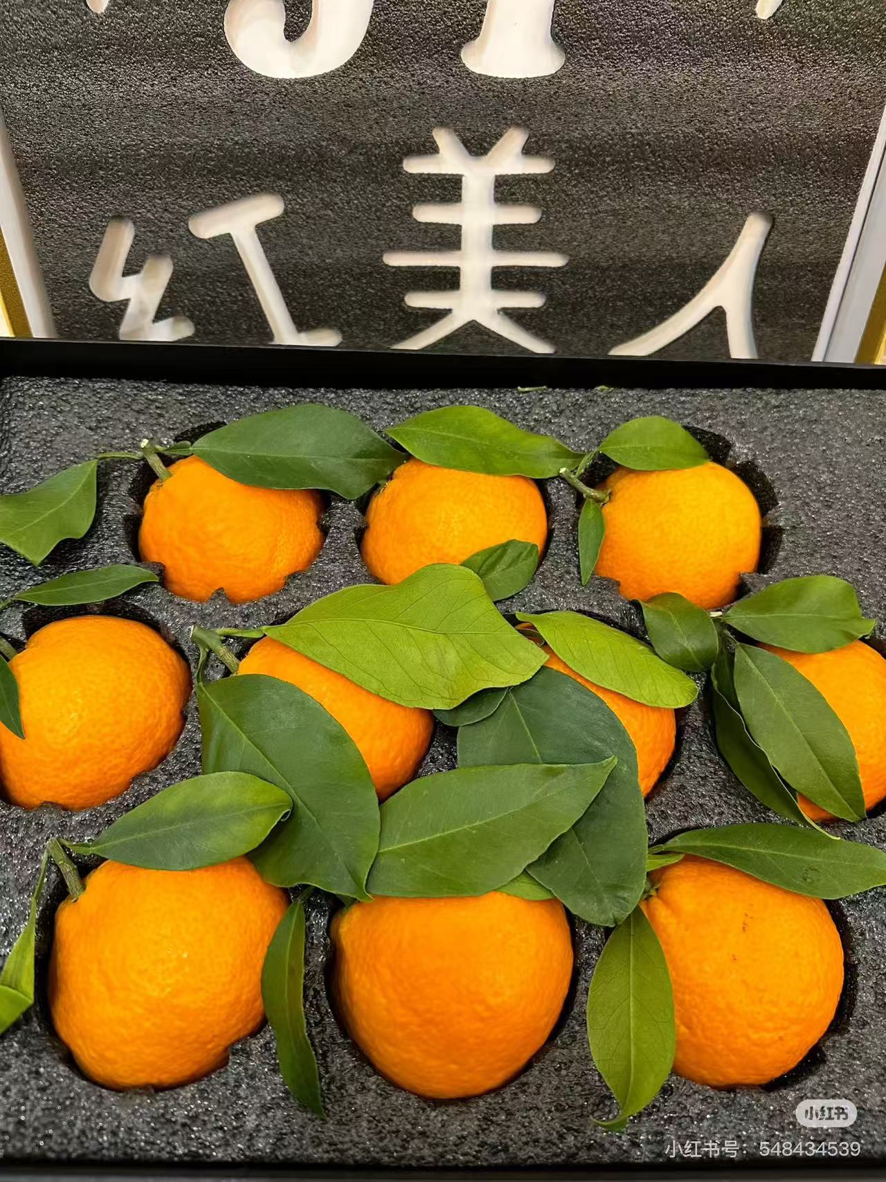 【象山精品红美人】果冻橙 新鲜现摘冰糖橙当季水果孕妇 小孩果汁橙