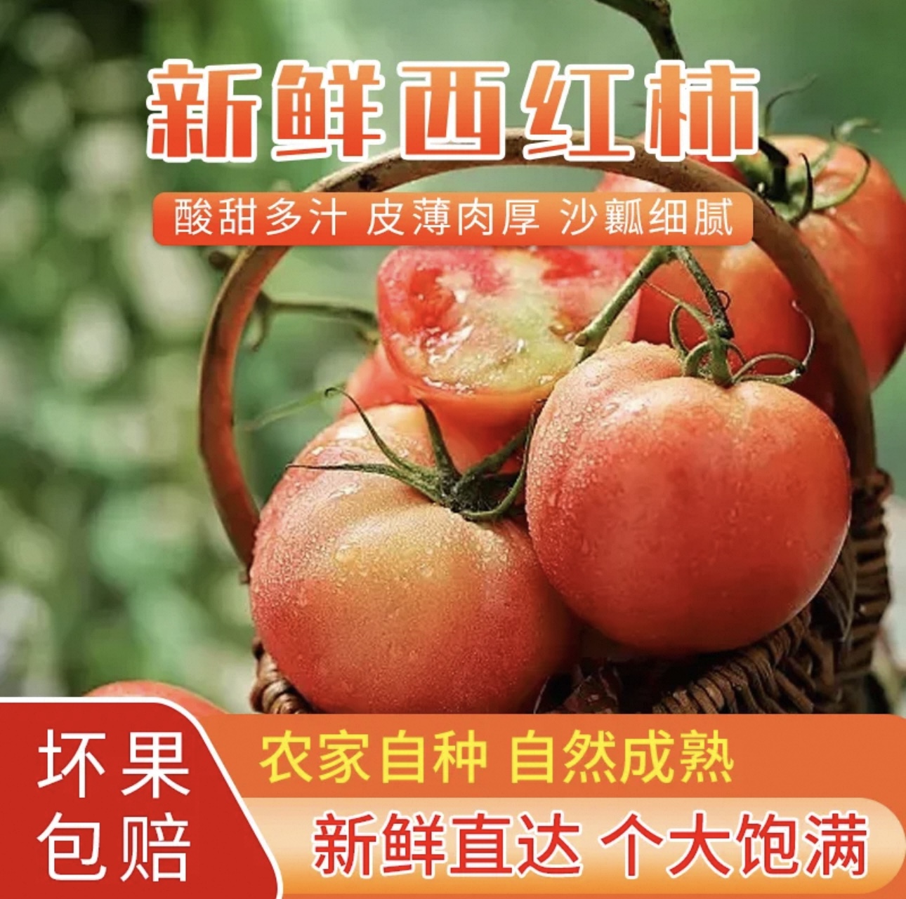 【云南高山西红柿】自然熟沙瓤种植多汁酸甜可口的粉西红柿新鲜美味