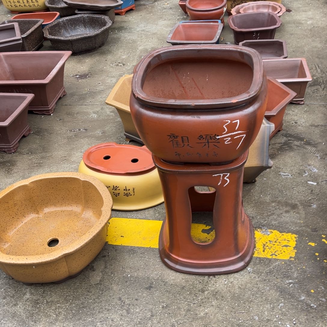 紫砂花盆盆景艺术