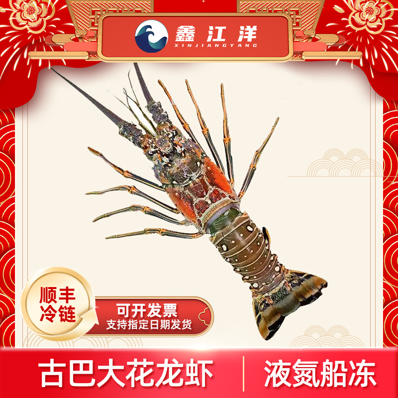 古巴大花龙虾急冻锁鲜原汁原味新鲜美味400-500g 楼下