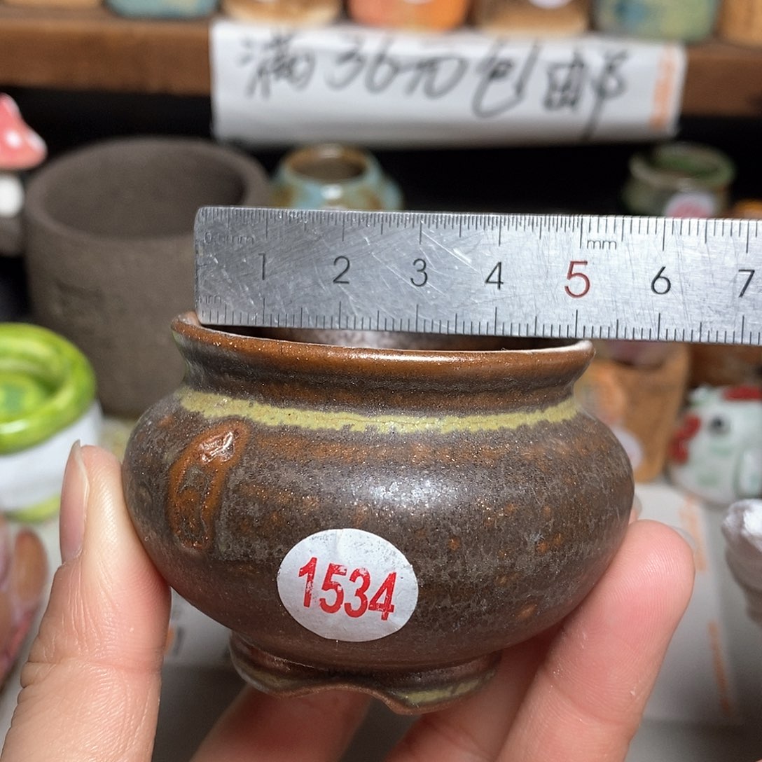 红陶拍5送一个小