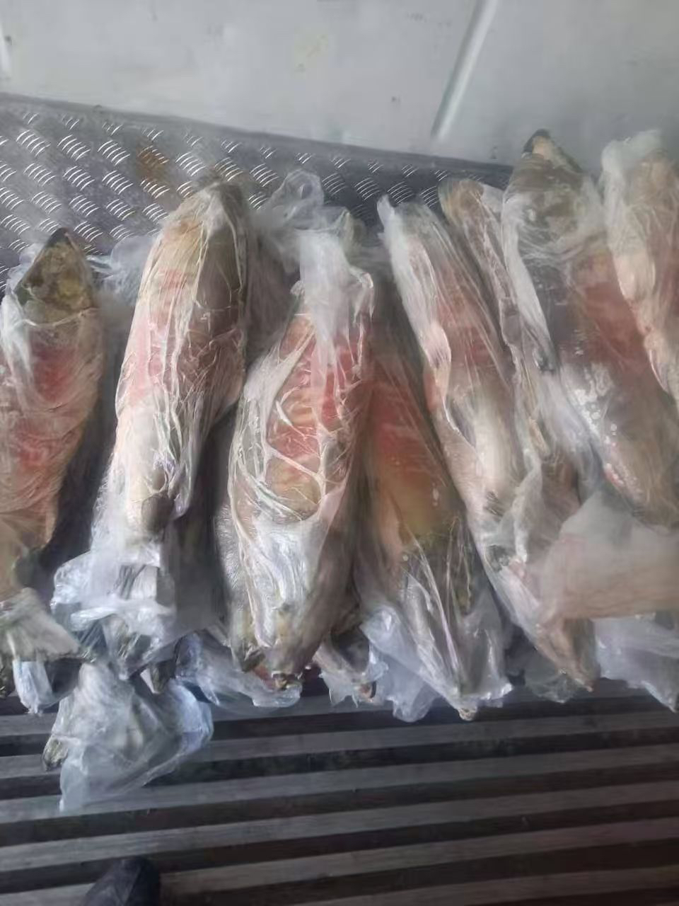 新鲜速冻大马哈鱼（按斤称重）
