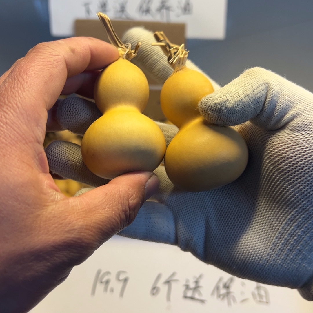 卫***森文玩葫芦手把件五五度