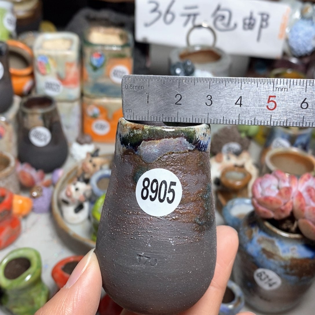 花盆拍5送一个小礼物