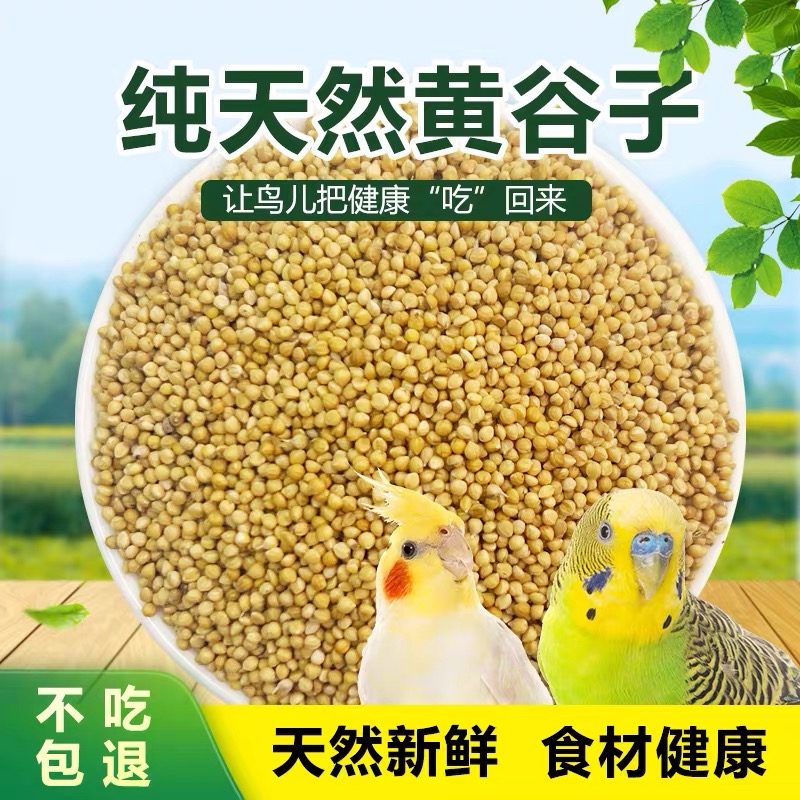 鹦鹉饲料鸟粮新黄谷子带壳小米虎皮鹦鹉饲料专用鸟食粮食大容量