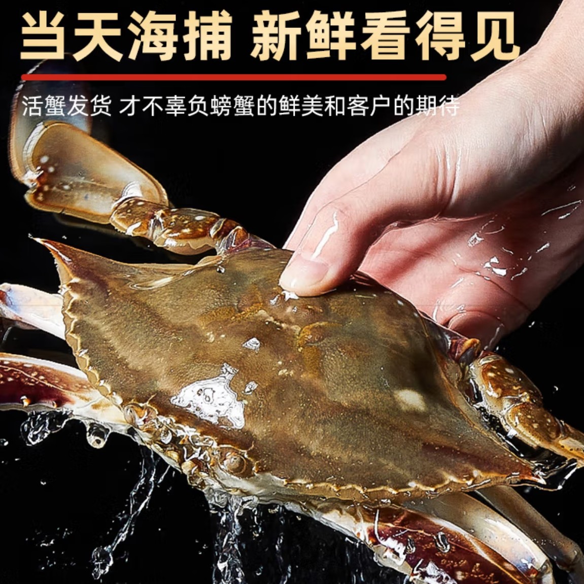 【保鲜不保活】海捕梭子蟹3-5斤 2-6两只/ 6-20只/份 加冰保鲜发货，非活蟹不建议清蒸 