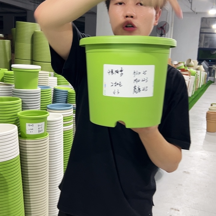 特价4号口25高24.5果绿色8支无托