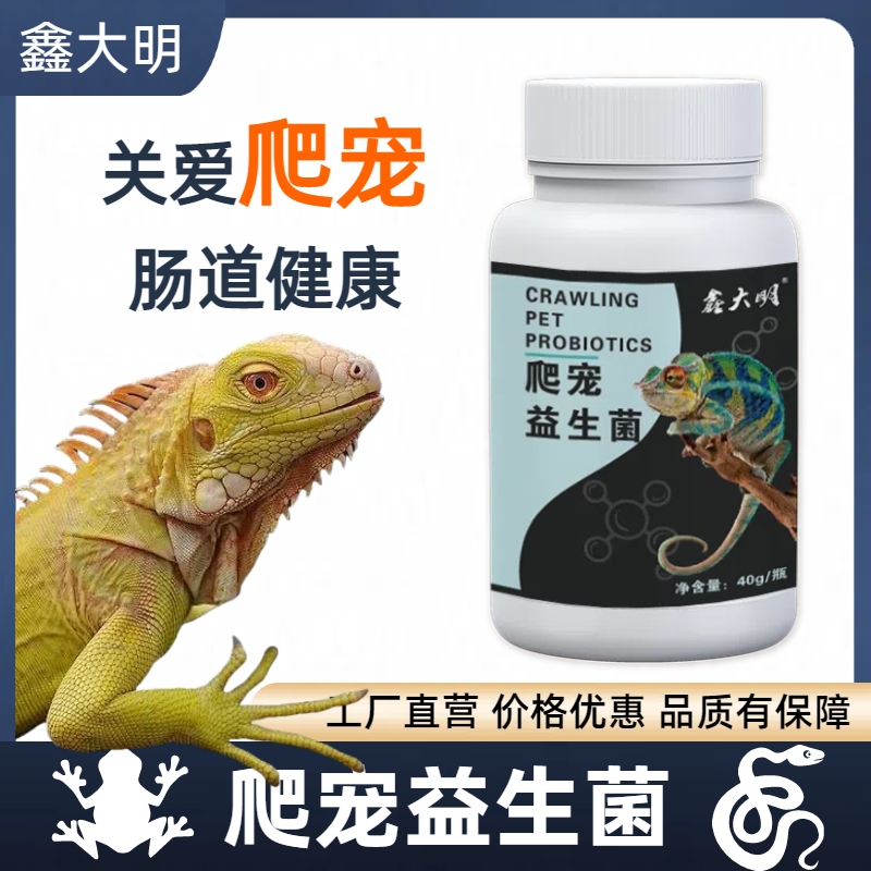 爬宠蜥蜴鬃狮蜥益生菌肠道健康