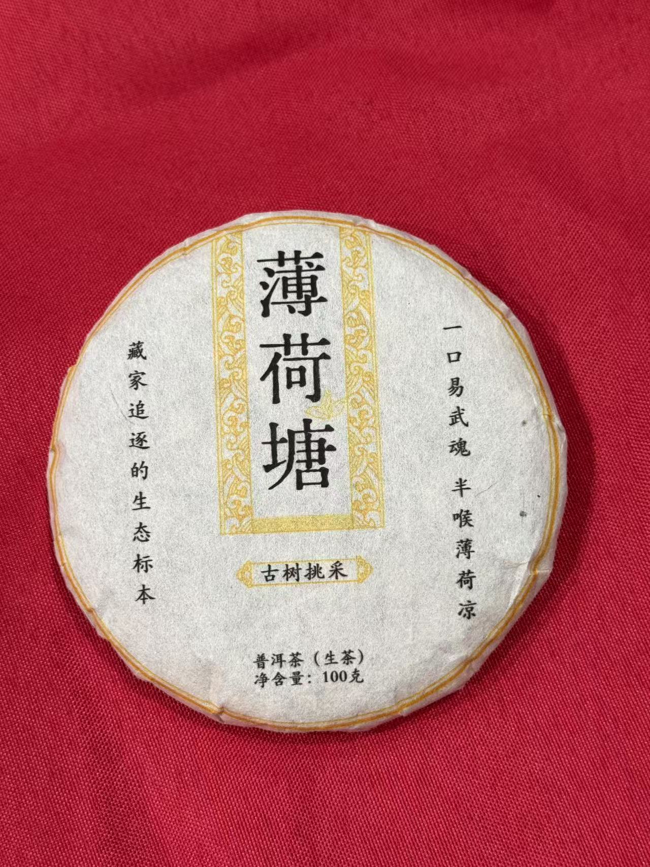 薄荷塘  普洱生茶