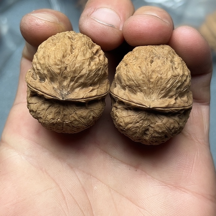 文玩核桃把件14号小手球