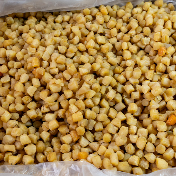 瑶柱干贝淡干贝肉