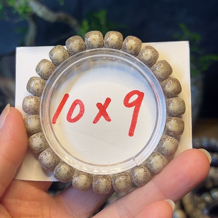 手串星月菩提海南原生态