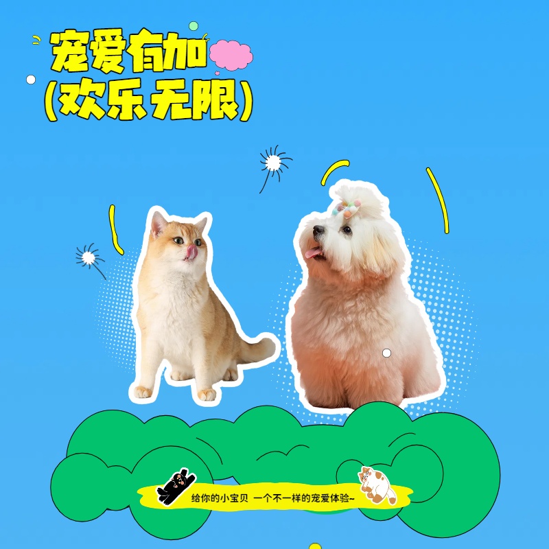 宠物幼犬 活体链接