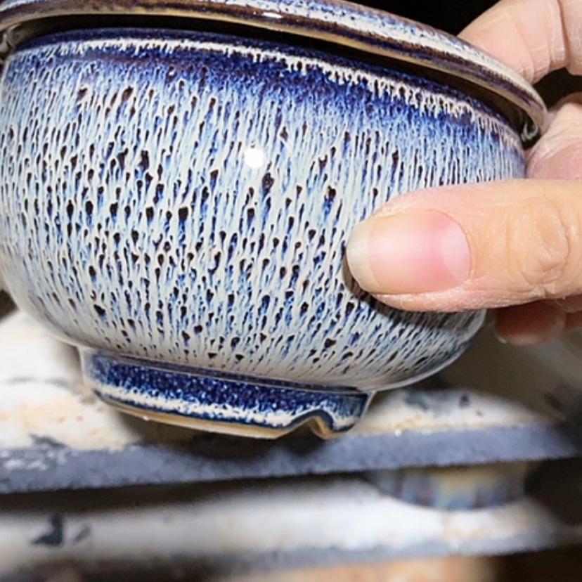 【闪购商品】红陶口9.5