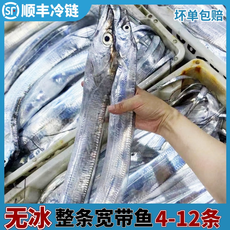 【整条海捕带鱼】顺丰次日达海钓带鱼新鲜冷冻海鱼无冰