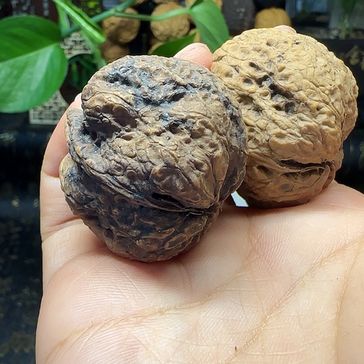 文玩核桃吊坠粗筋至尊金蟾39