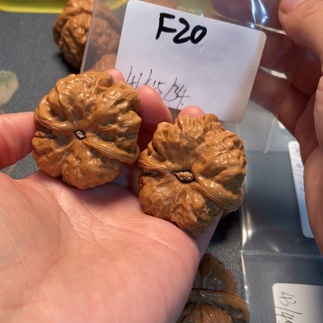 文玩核桃吊坠蛤蟆