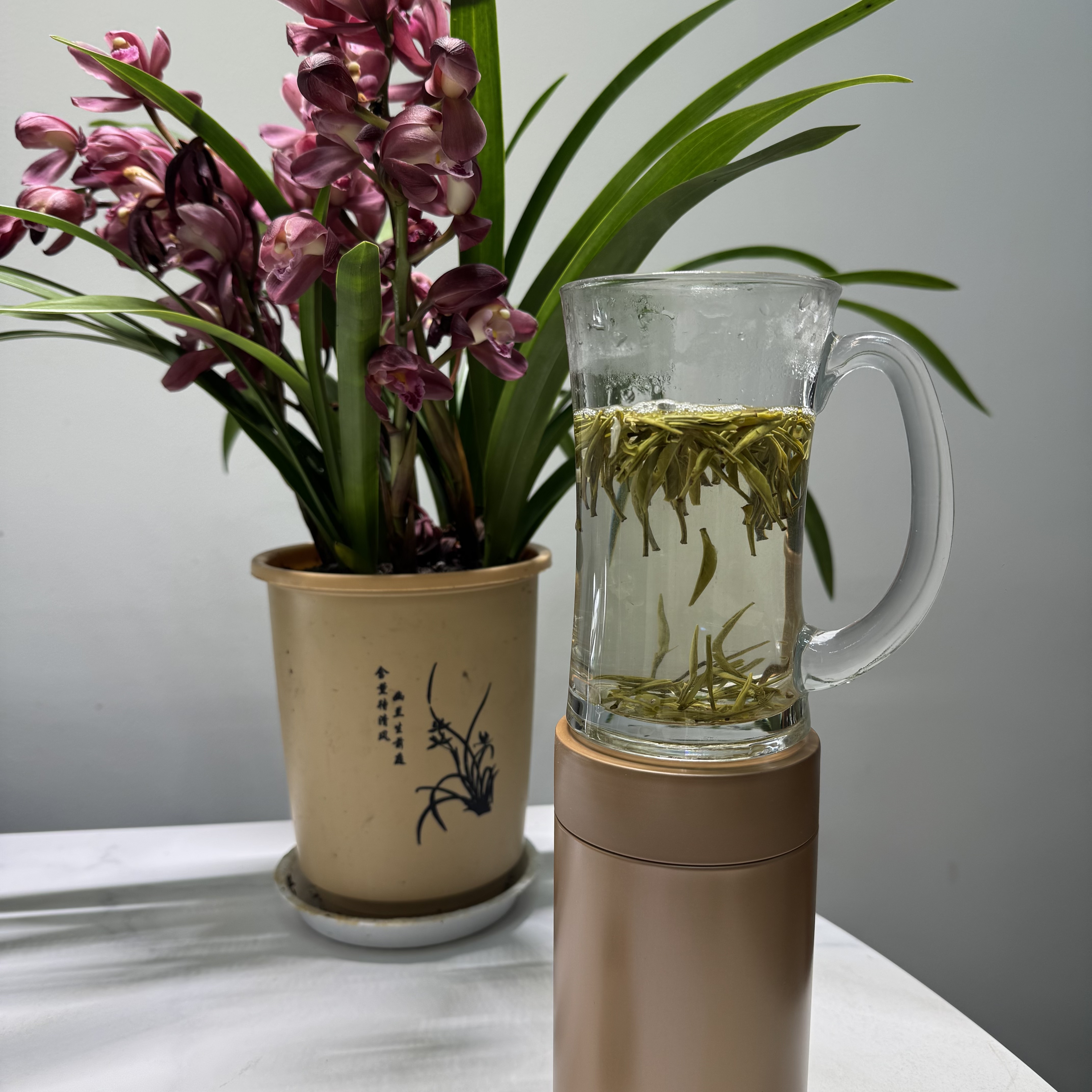 金针兰雪 茉莉花香