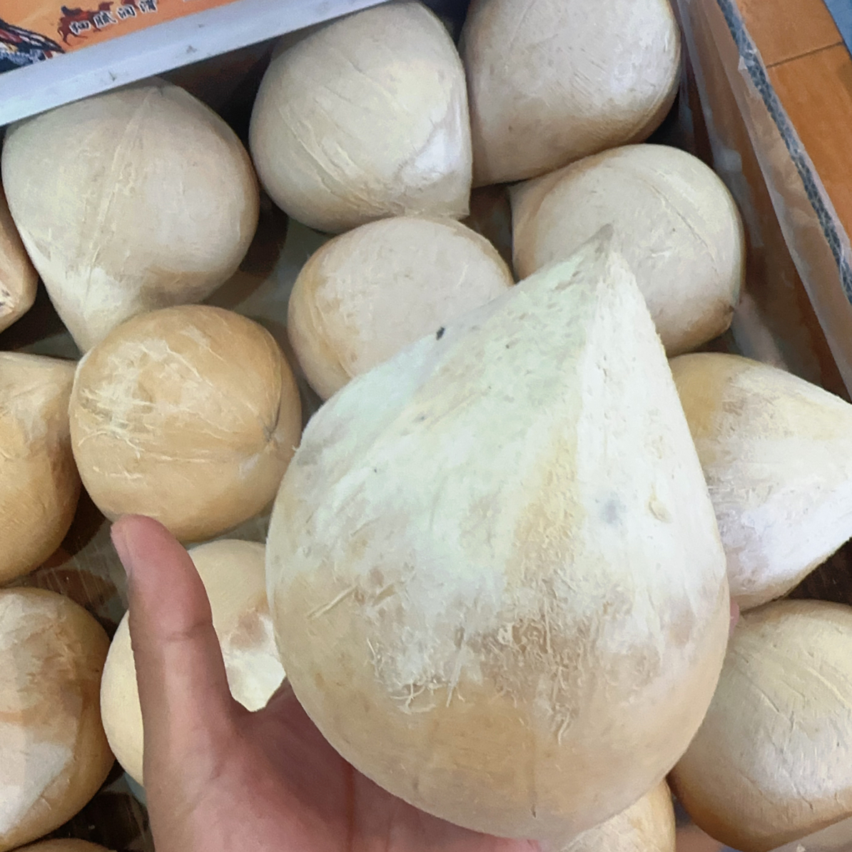 泰国香水椰子椰皇能吃能喝一颗