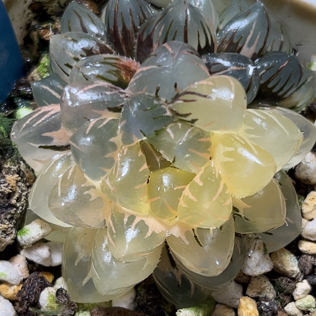 恭喜发财大吉大利0418