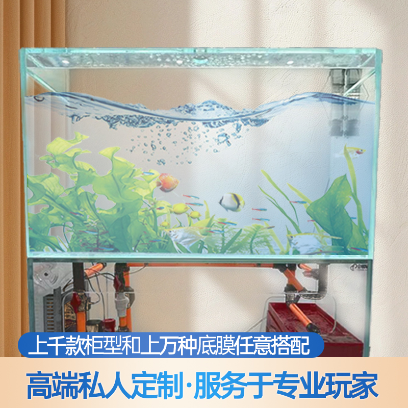 创牌无管道鱼缸高端私人定制上千种款式任你选