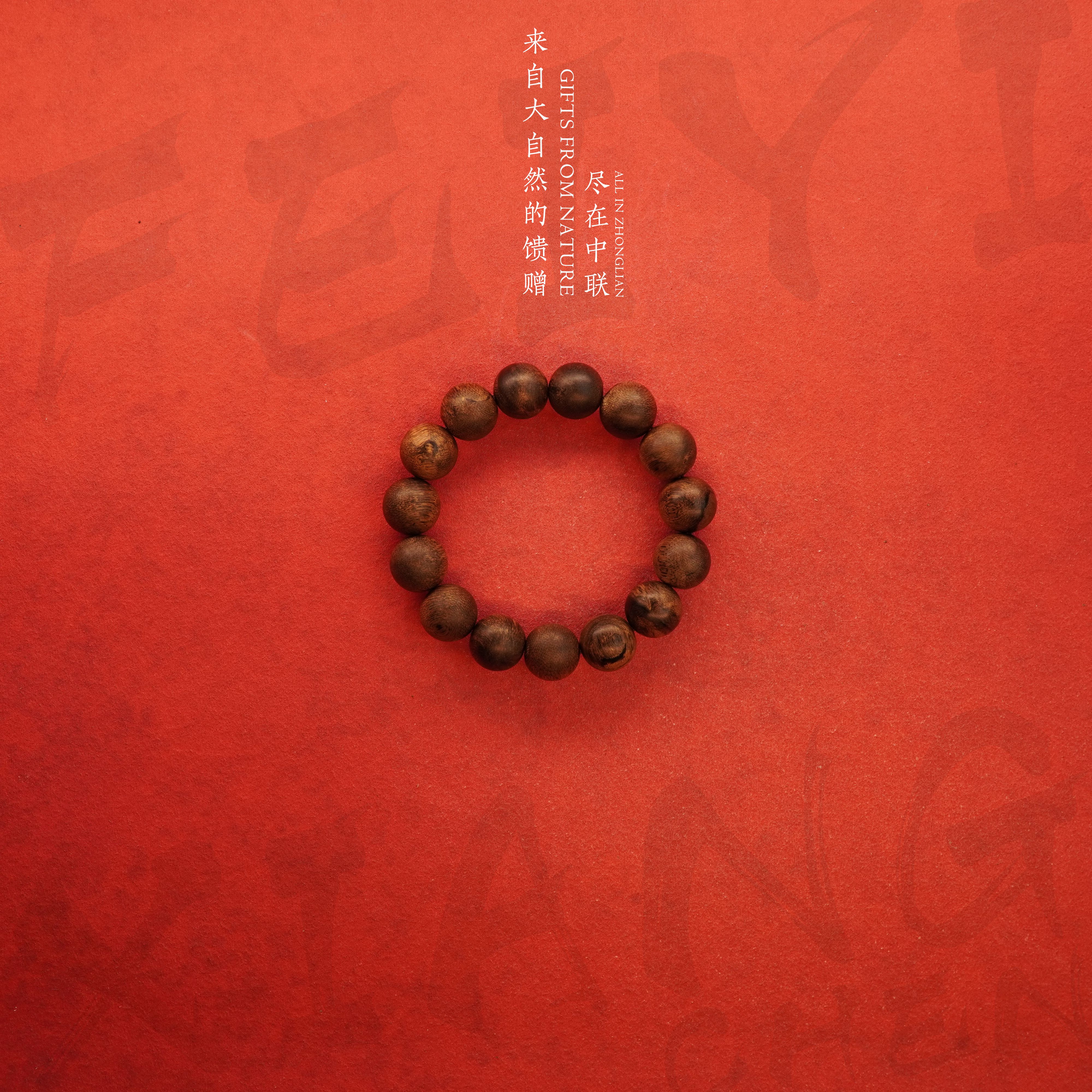 Y20沉香【越南芽庄白奇楠满油雷击单圈】14mm-24.4g-NJ5880400661-2