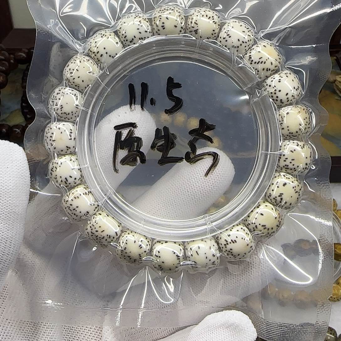 星月菩提手串卡11.5原生态同枝果