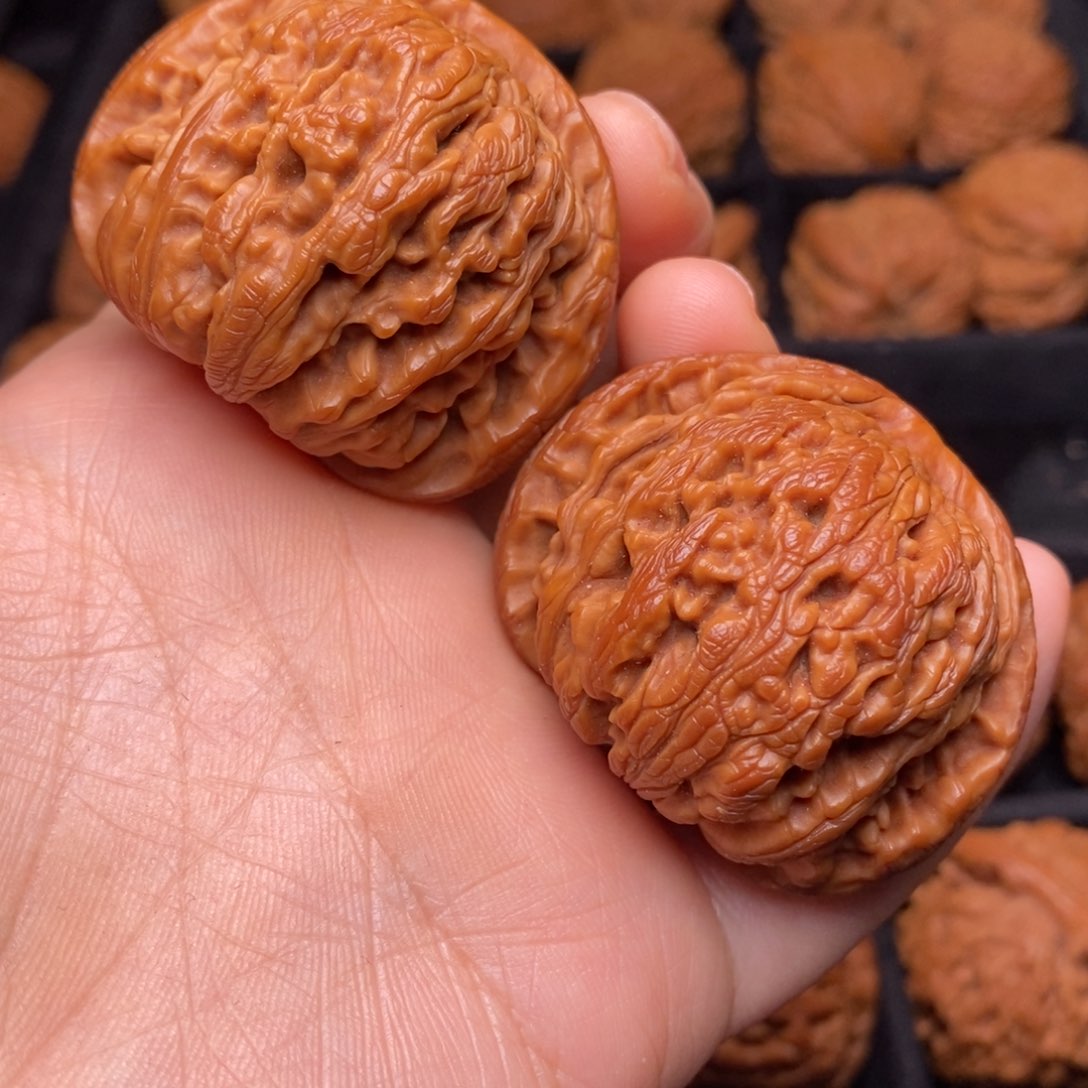 文玩核桃把件秦岭野生核桃