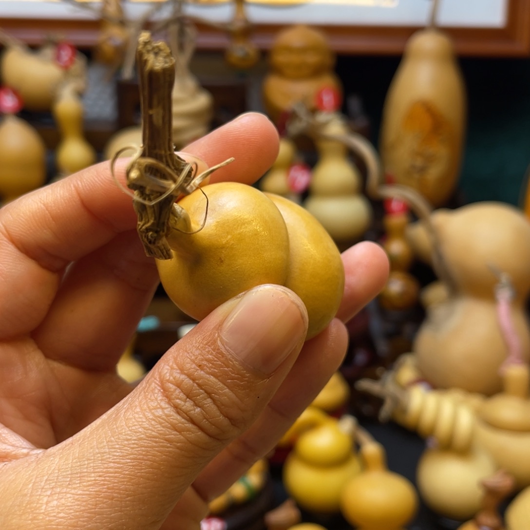 张*伟葫芦等经济作物和各种植物的生长