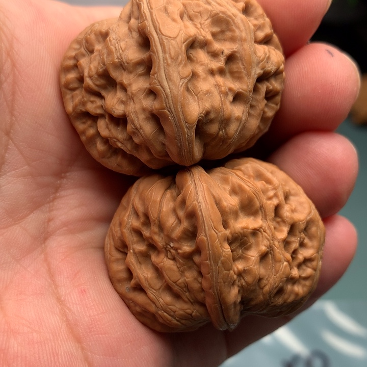 文玩核桃把件墨*元宝50