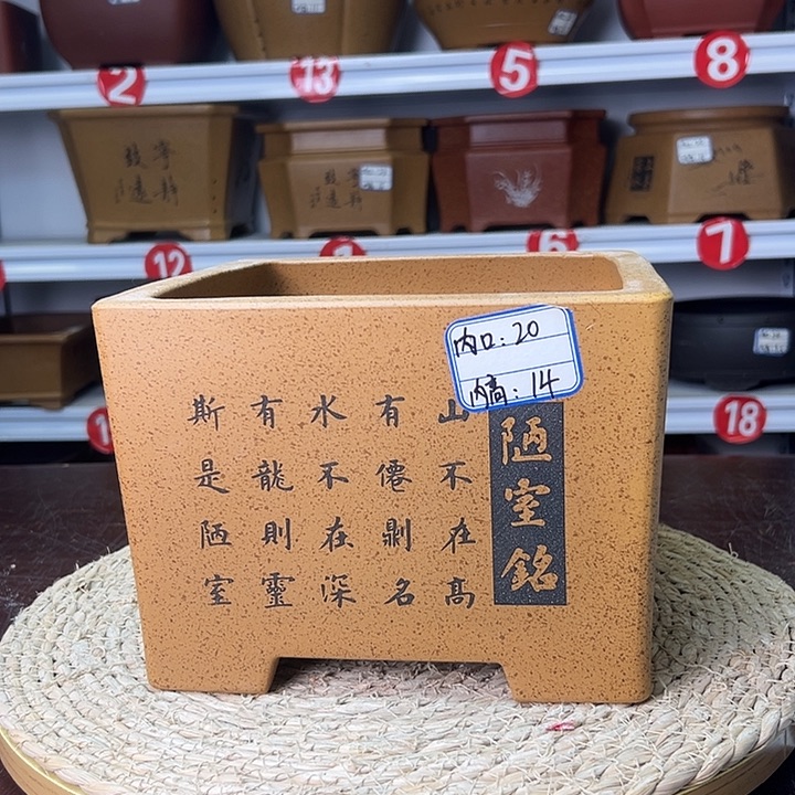 紫砂花盆蛇年大吉