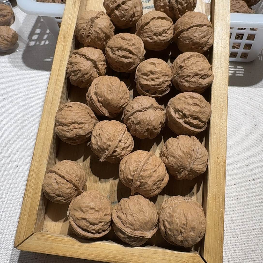 核桃手串/手链41号边26手持