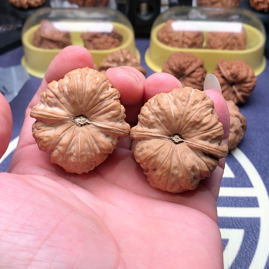 文玩核桃把件南瓜墩42