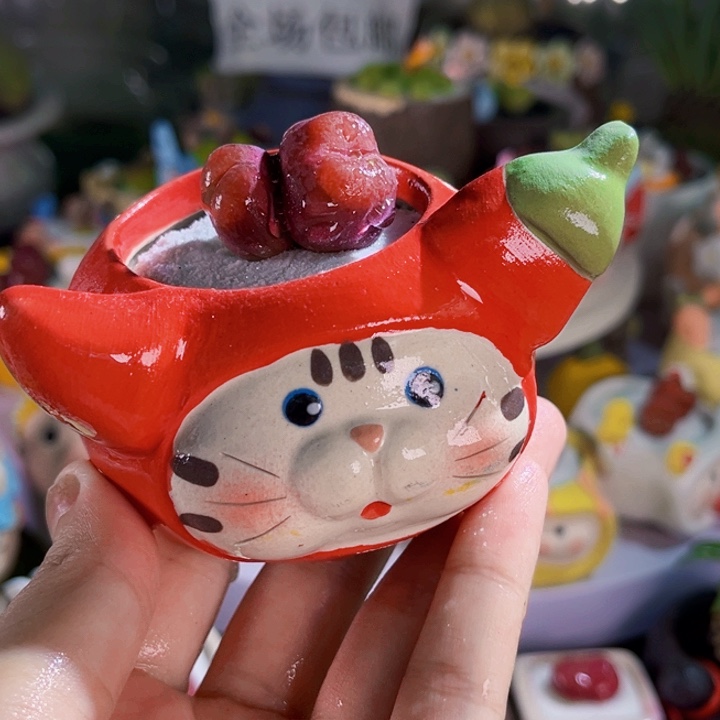 012手工盆毛汉尼连盆带土包邮