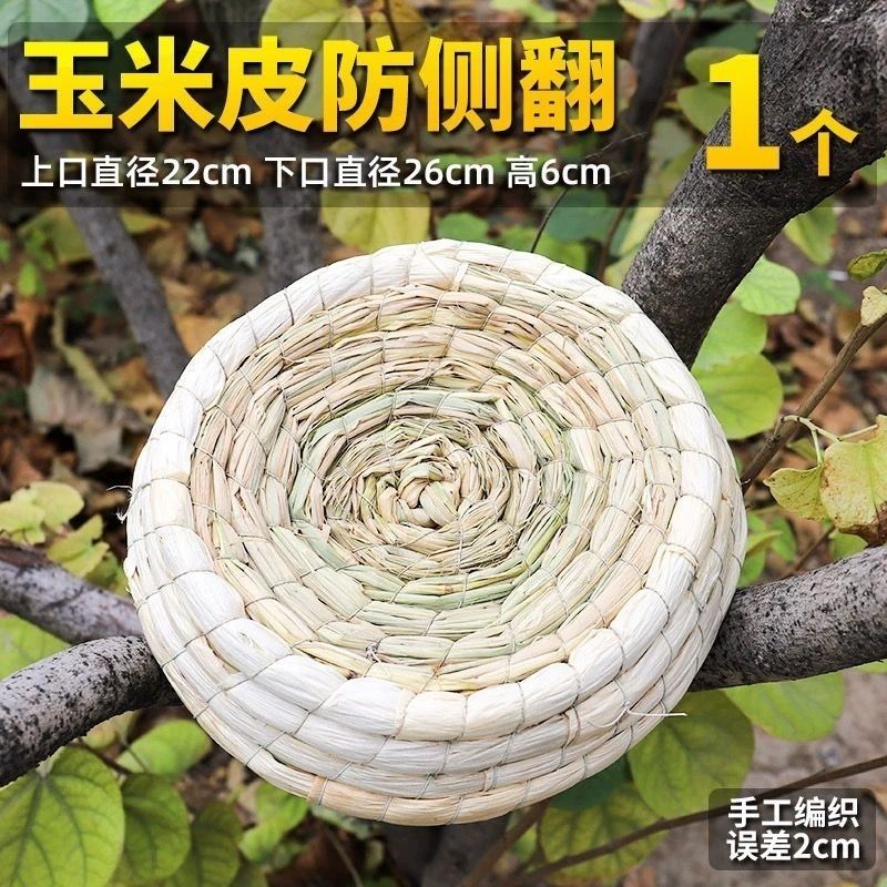 鸽子信鸽种鸽成绩鸽公棚幼鸽观赏鸽用品鸟类通用