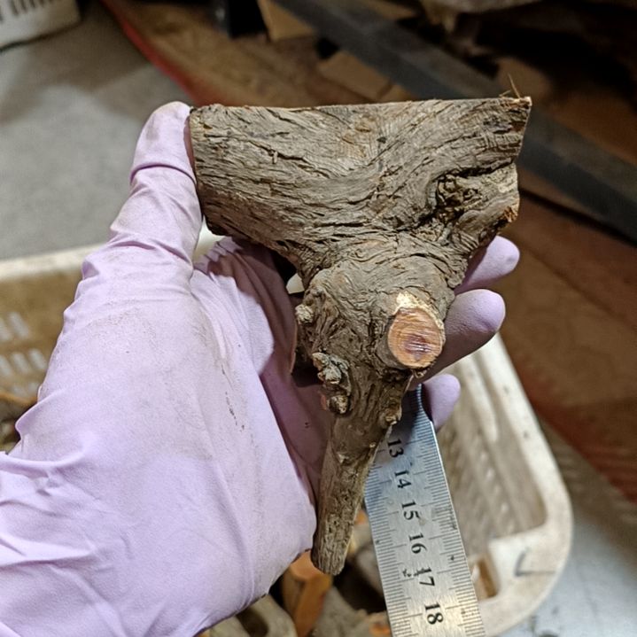 梅***恼香榧木崖柏随行毛料毛料毛料
