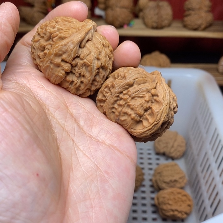 ****海把件文玩核桃文玩