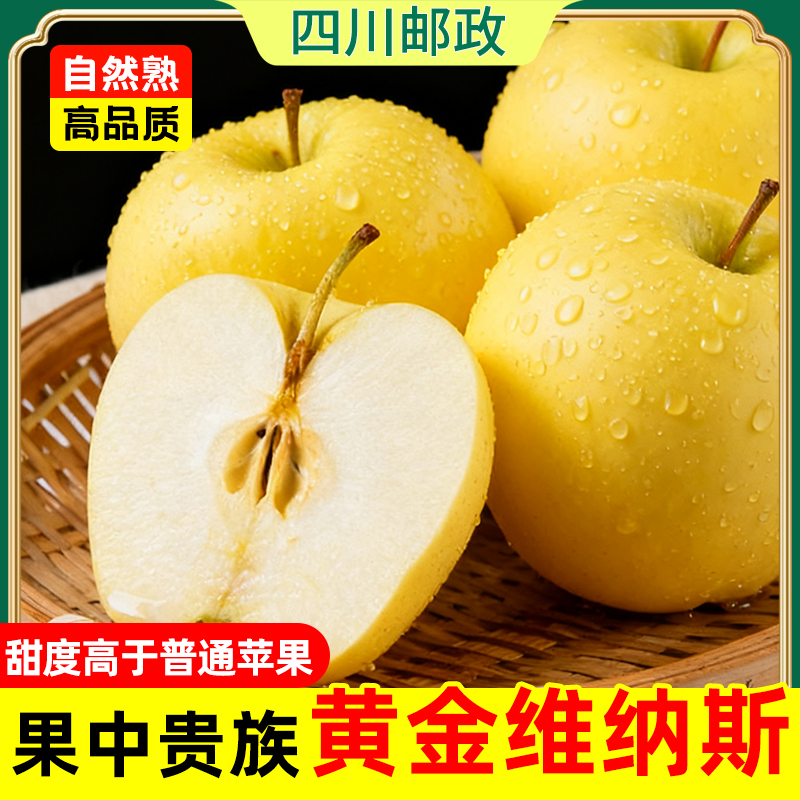 正宗维纳斯黄金苹果脆甜多汁水果新鲜当季苹果新鲜现摘现发好吃