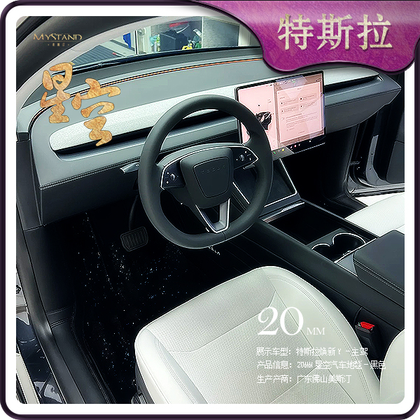 特斯拉 星空脚垫 专车专用汽车脚垫
