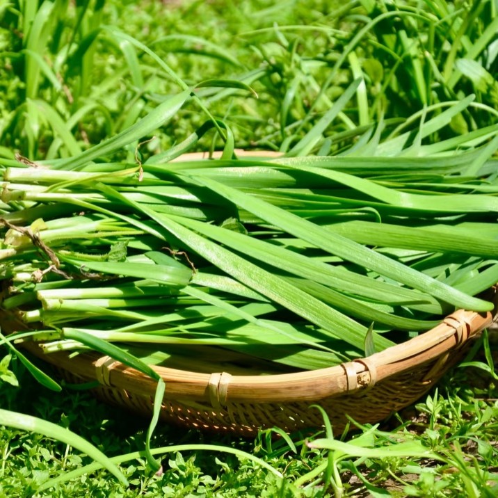 满30包邮|叶菜自选 400g装