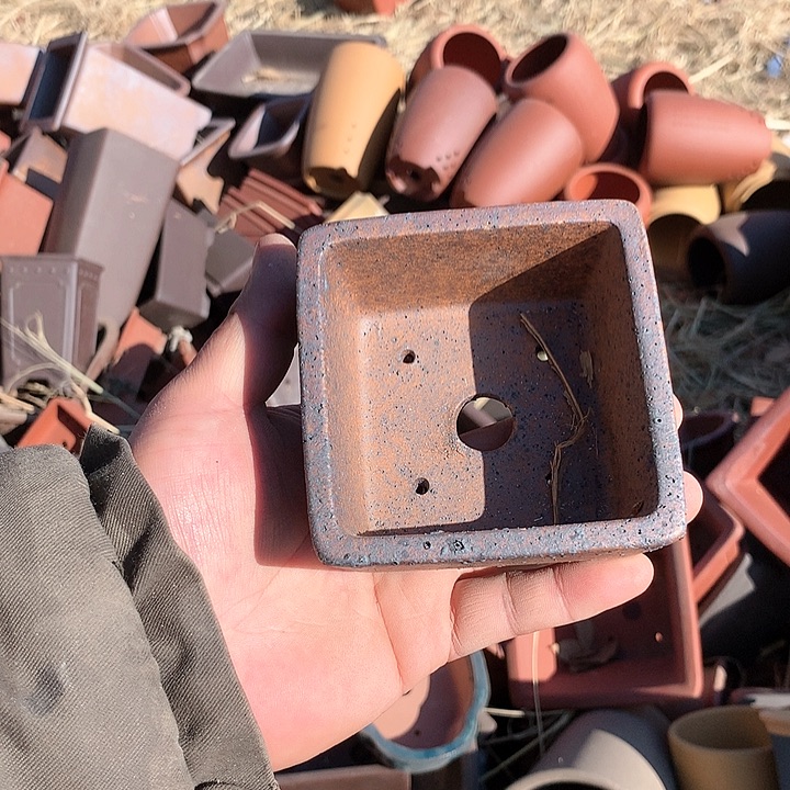 紫砂没有你喜欢吃辣不喜欢你