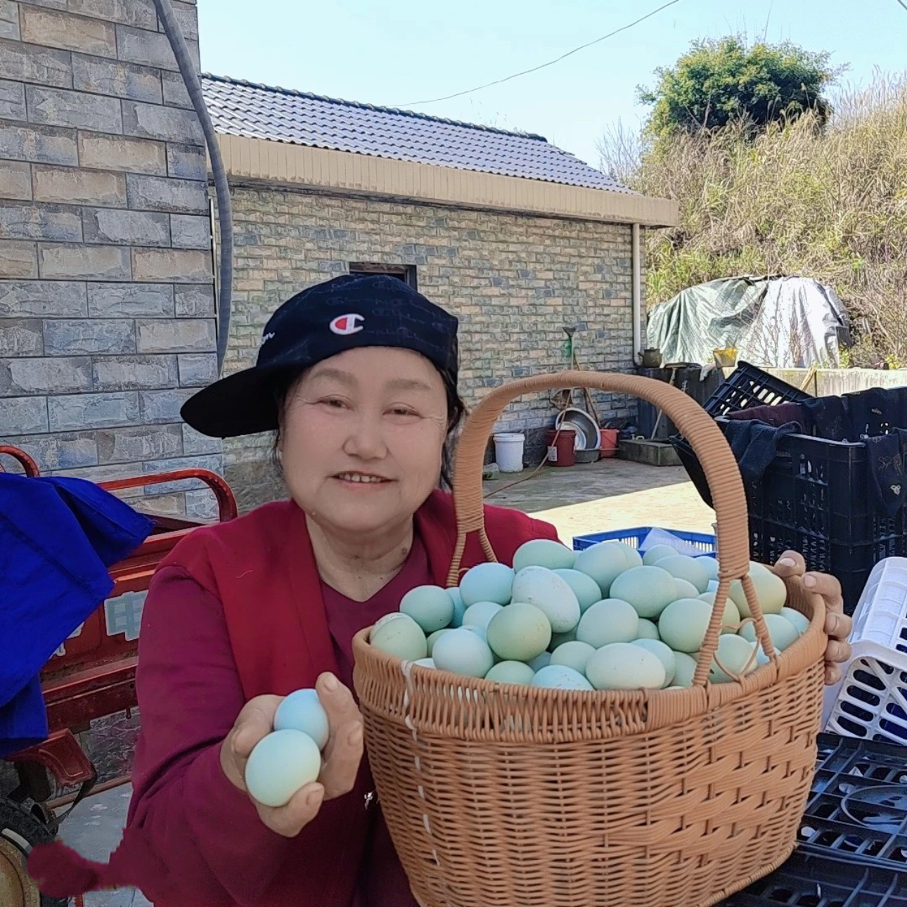 【顺丰包邮】假一罚十 代购阿婆农家喂玉米的绿壳土鸡蛋