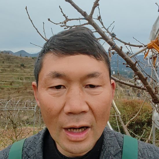 小***勇完全开放齐早车厘子