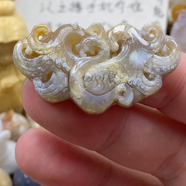颈饰未镶嵌硅化珊瑚（珊瑚玉）小