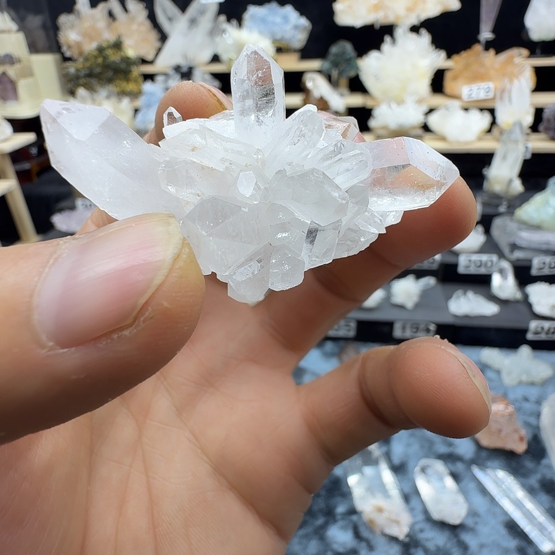 石材金口河菊花晶