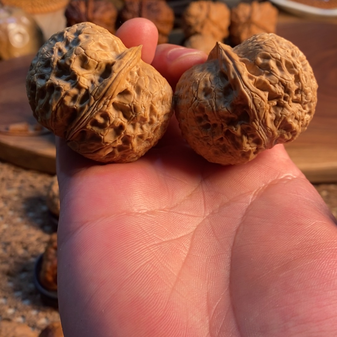 文玩核桃把件46龙鼎元宝