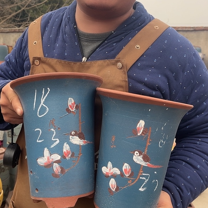 紫砂紫砂花盆盆栽